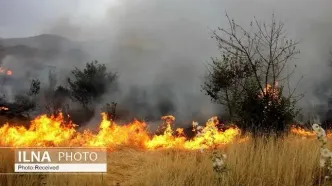 عامل آتش‌سوزی در منطقه حفاظت‌شده «شیمبار» خوزستان دستگیر شد