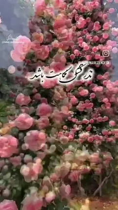 فال ابجد محشر 20 مرداد