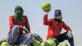 پنج شگفتی در گزارش رسمی تورم خوراکی