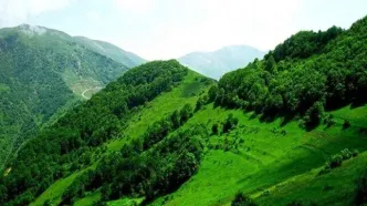 کاهش دما در نیمه شمالی کشور