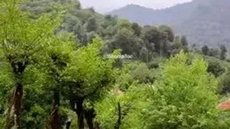 زیبایی چشم نواز در گیلان / فومن، روستای شولم