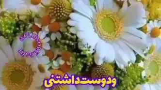 فال ابجد امروز 25 مرداد + فیلم