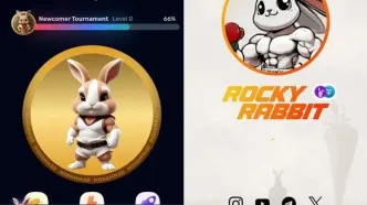 کارت های روزانه راکی رابیت Rocky Rabbit امروز 31 مرداد چهارشنبه