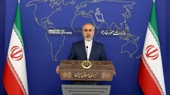 کنعانی به حضور جاوید رحمان در این گردهمایی واکنش نشان داد