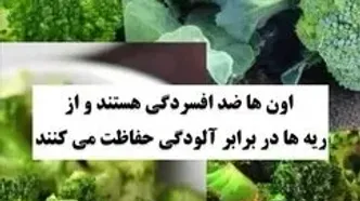 این خوراکی ها را هر روز بخورید بیمار نمی شوید