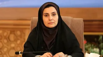 ۷۰ درصد زائران اربعین با خودروی شخصی جابه‌جا شدند