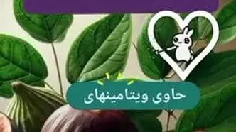 خواص انجیر سیاه + مواد مغذی انجیر سیاه