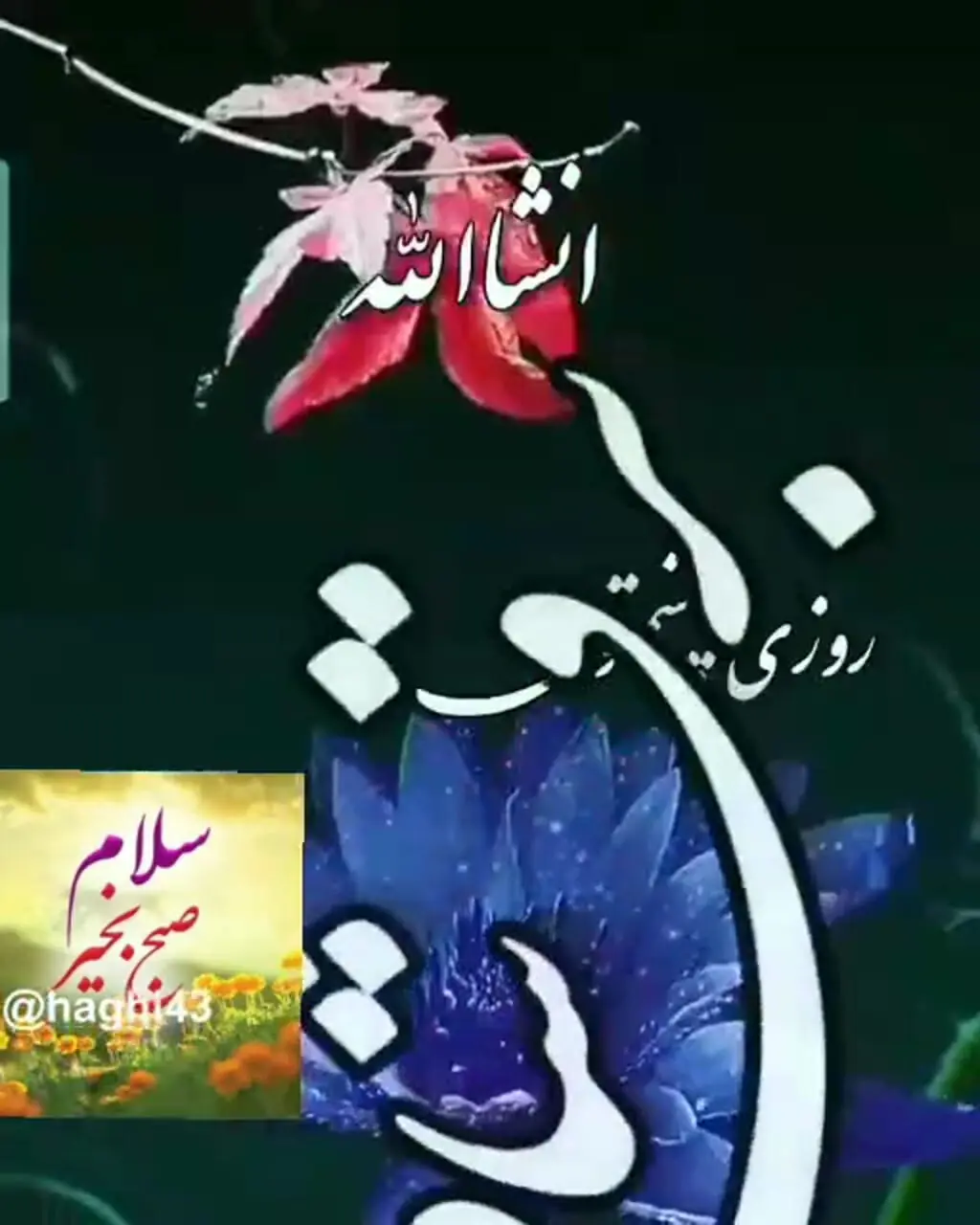 فال و طالع بینی امروز 20 مرداد + فیلم