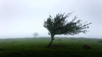 ببینید | تلاش سخت کارمندان یک هتل برای جلوگیری از ورود طوفان به داخل هتل!