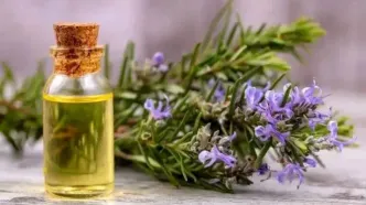 روغن رزماری برای رشد مو معجزه می کند