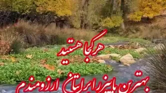 فال و طالع بینی امروز 26 شهریور + فیلم