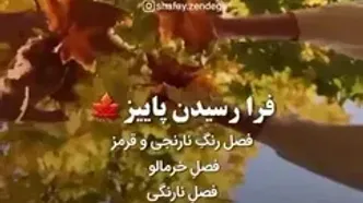 فال و طالع بینی 2 مهر ماه