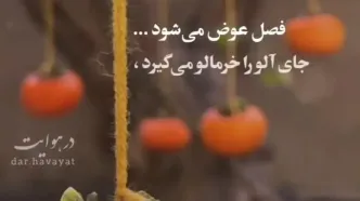 فال و طالع بینی 7 مهر ماه + فیلم