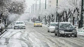 ببینید | تصاویر جالب از بارش برف در توچال