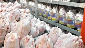 قیمت انواع گوشت مرغ امروز ۱۱ آذر ۱۴۰۳