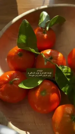 فال ابجد 13 مهر