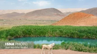 (تصاویر) تالاب تاریخی «سی سر»