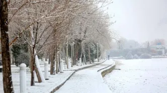 کشور چهره زمستانه می‌گیرد/ برف و باران در ۱۱ استان‌