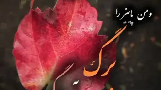 فال ابجد 28 مهر + فیلم