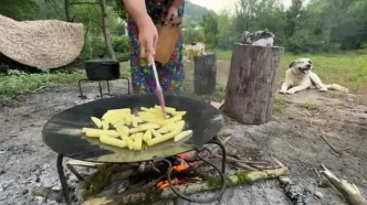 آموزش گام به گام پخت زرشک پلو با مرغ؛ ویدئویی که باید ببینید