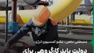 دولت باید کارگروهی برای معضل انرژی تشکیل بدهد