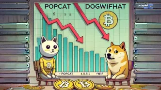 سقوط ناگهانی Popcat و Dogwifhat؛ آیا وقت خروج از بازار میم‌کوین ها است؟