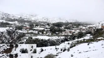 (تصاویر) بارش برف در مناطق کوهستانی شهمیرزاد - استان سمنان