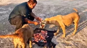 « عمو یاسین» از خدا بترس، این مردم گناه دارند