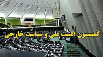 جلسه مهم کمیسیون امنیت ملی مجلس/ کلیات لایحه ساماندهی پهپاد تصویب شد