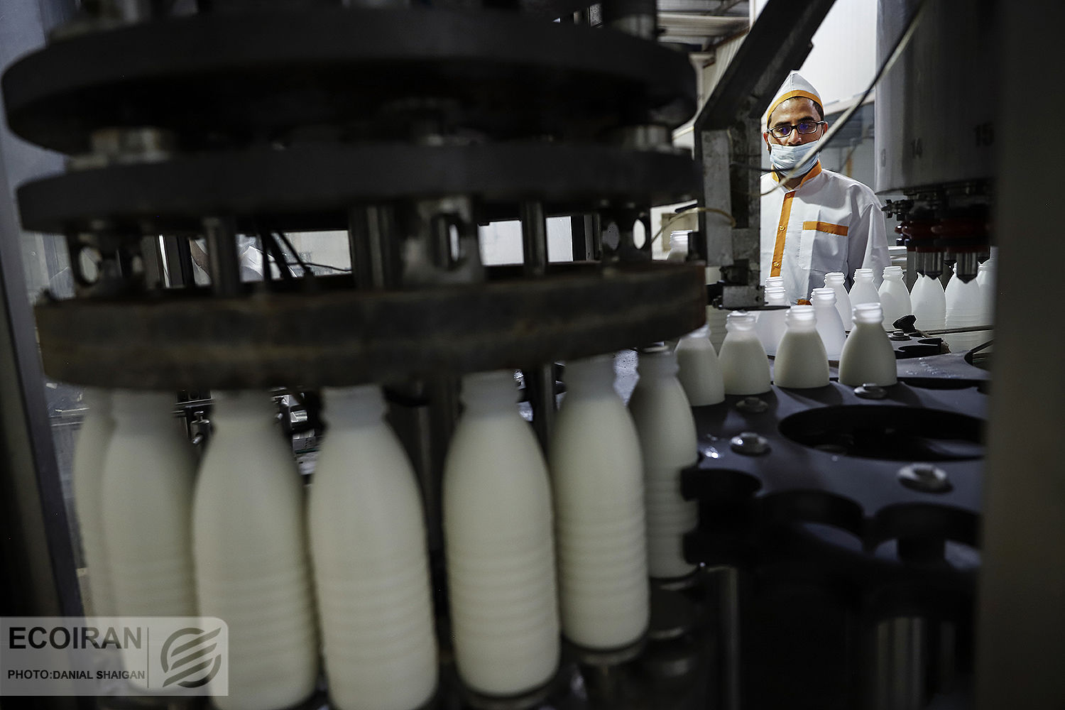 لبنیات گران‌تر می‌شوند؟