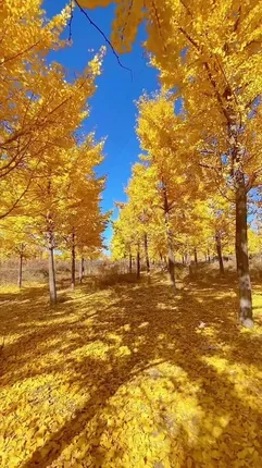 فال و طالع بینی امروز 24 مهر