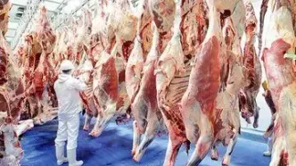 قیمت گوشت قرمز امروز ۳ بهمن۱۴۰۳ | شقه گوسفندی چند؟