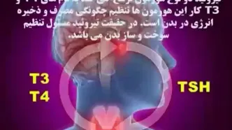 tsh در آزمایش خون چیست؟..........آجورلو