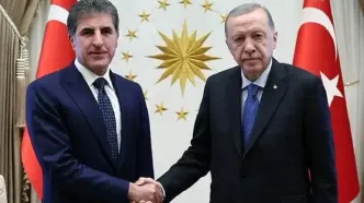 نچیروان بارزانی و اردوغان دیدار کردند