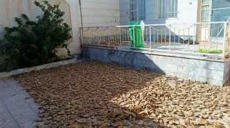 نان‌های یارانه‌ای به جای سفره از داداری سر در آوردند