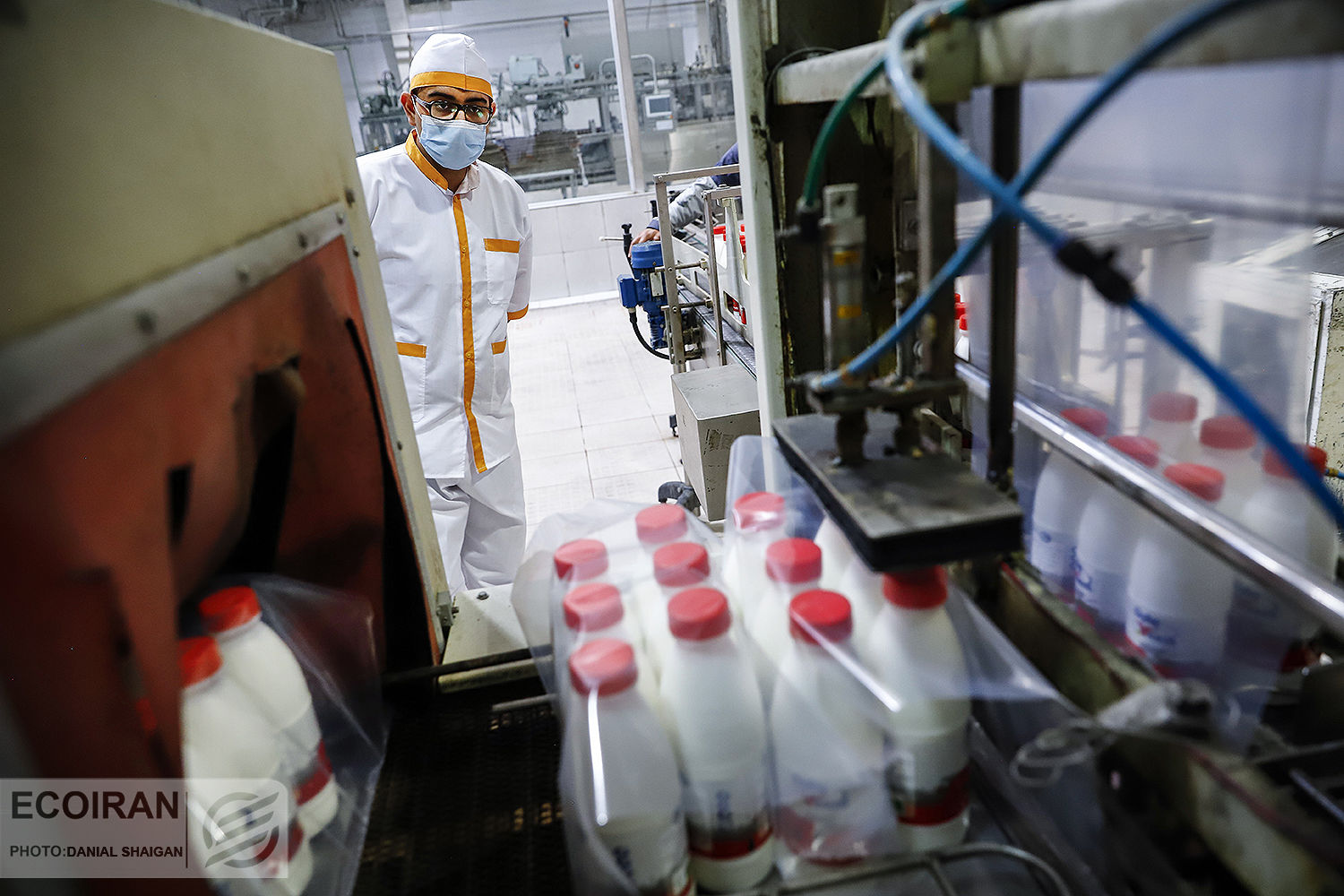 چرا قیمت لبنیات هر دو هفته یک‌بار تغییر می‌کند؟