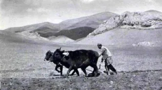 سفر به ایران قدیم؛ قیمت گندم در دوران رضاشاه چقدر بود؟