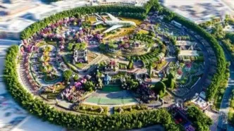 سیر و سفر در دل باغ گل دبی (Miracle Garden) چگونه است؟