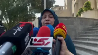 شینا انصاری:آتش سوزی جنگل‌ها در مناطق حفاظت شده نبود!/ساختار قانون آلودگی هوا بازنگری می شود