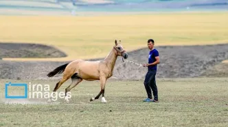 (تصاویر) زندگی روستایی