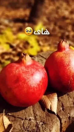 فال و طالع بینی امروز 12 مهر