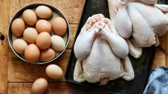 قیمت تخم مرغ با ممنوعیت صادرات کاهش می یابد