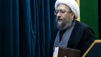 توضیحات آملی لاریجانی در مورد یک پرونده جنجالی/ مجمع تشخیص بنای تعلل و یا تعجیل در بررسی لوایح پالرمو را ندارد
