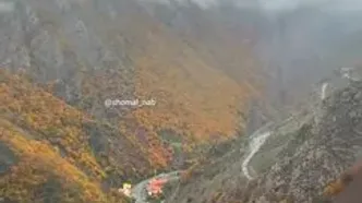 فیلم / سفر رویایی در جاده چالوس