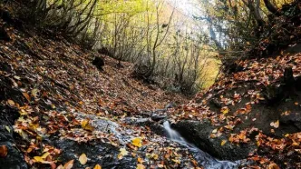 (تصاویر) زیبایی مسحورکننده گردنه حیران در پاییز