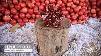 دومین جشنواره ملی انار ایج و رودبال اول آذرماه برگزار می‌شود