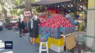 دومین جشنواره ملی انار با حمایت باغداران ایرانی در شیراز