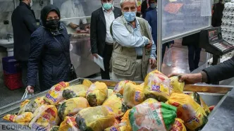 توزیع مرغ بالاتر از ۹۰ هزار تومان گران‌فروشی است