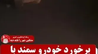 تصادف سمند با گراز در جاده مشکین‌شهر؛ وقوع حادثه و خسارت به خودرو