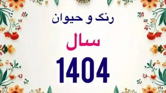 لحظه تحویل سال ۱۴۰۴؛ همه چیزهایی که نمی‌دانید | چطور رنگ سال ۱۴۰۴ می‌تواند زندگی شما را تغییر دهد؟|